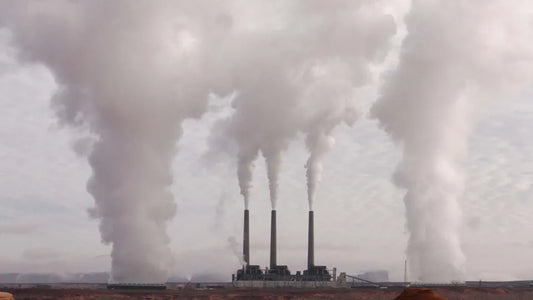 Les effets de la pollution atmosphérique sur la santé humaine 2