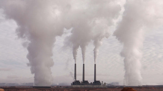Les effets de la pollution atmosphérique sur la santé humaine